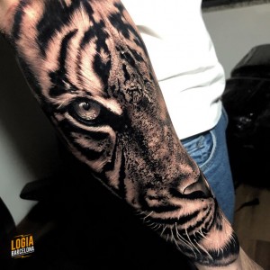 tatuaje_hombro_tigre_logia_barcelona_victor_losni 